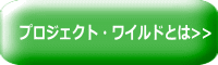 行政の方はこちら>> 