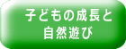 子どもの成長と 自然遊び 